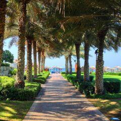 Отель Coral Beach Resort - Sharjah ОАЭ, Шарджа - 8 отзывов об отеле, цены и фото номеров - забронировать отель Coral Beach Resort - Sharjah онлайн приотельная территория