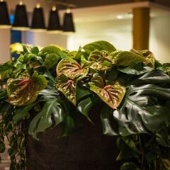 Sheraton Duesseldorf Airport Hotel гостиничный бар фото 3