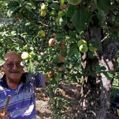 Отель Agriturismo Nonno Tobia Аджерола фото 5