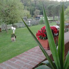 Отель Agriturismo Podere Bucine Basso Италия, Лари - отзывы, цены и фото номеров - забронировать отель Agriturismo Podere Bucine Basso онлайн балкон