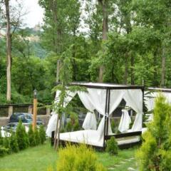 Park Hotel Asenevtsi & SPA Велико Тырново фото 8