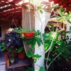 Hotel Boutique Posada Las Iguanas интерьер отеля фото 2