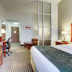 Отель Comfort Suites Vicksburg США, Виксбург - отзывы, цены и фото номеров - забронировать отель Comfort Suites Vicksburg онлайн комната для гостей фото 2