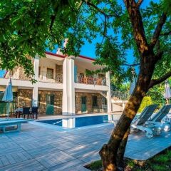 Villa Lemon Tree Турция, Кесилер - отзывы, цены и фото номеров - забронировать отель Villa Lemon Tree онлайн бассейн фото 2