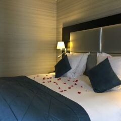 Отель Best Western Allegro Nation в номере фото 2