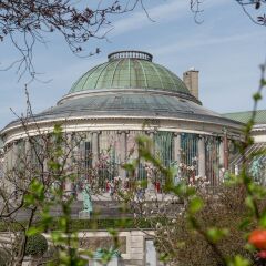 Отель The Captaincy Guesthouse Brussels Бельгия, Брюссель - отзывы, цены и фото номеров - забронировать отель The Captaincy Guesthouse Brussels онлайн фото 5
