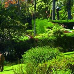 Отель Quinta da Casa Branca Португалия, Фуншал - отзывы, цены и фото номеров - забронировать отель Quinta da Casa Branca онлайн фото 4