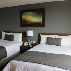 Eco Hotel Guadalajara Expo комната для гостей фото 4
