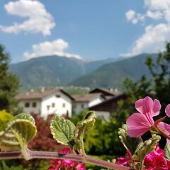 Отель Pension Dietl Лачес фото 5