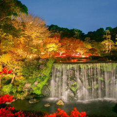 Отель New Otani Tokyo Токио фото 3