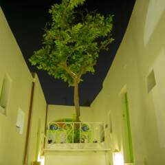 Отель Lemon Tree Bed & Breakfast интерьер отеля