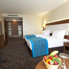 Teymur Continental Hotel 5* Стандартный номер с различными типами кроватей