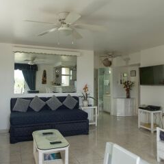 Отель Dolphin Beach Suite комната для гостей фото 5