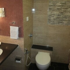 Hotel Venkatesh International ванная