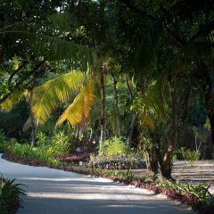 Отель Furaveri Island Resort & Spa фото 14