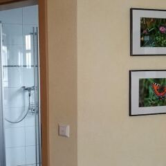 Hotel Zur Altenburg интерьер отеля фото 2