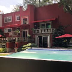 Отель Pug Seal B&B Coyoacan Мексика, Мехико - отзывы, цены и фото номеров - забронировать отель Pug Seal B&B Coyoacan онлайн фото 3