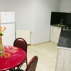 Отель Negini Guest House Грузия, Тбилиси - отзывы, цены и фото номеров - забронировать отель Negini Guest House онлайн в номере фото 2