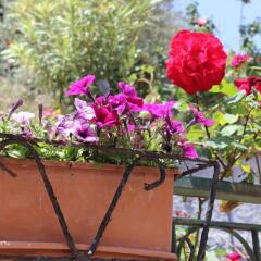 Отель B&B Villa Maria Таормина фото 8