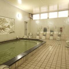 Hotel Harumoto Никко бассейн