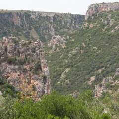 Отель Masseria La Gravina Кастелланета фото 9
