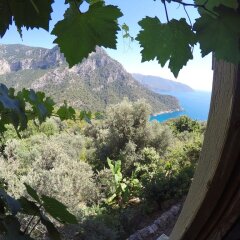 Kabak Mamma's Hostel (Adult Only) пляж фото 2