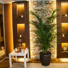 Отель SG Amira Boutique Hotel Болгария, Банско - отзывы, цены и фото номеров - забронировать отель SG Amira Boutique Hotel онлайн спа