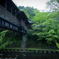Отель Yamabiko Ryokan Минамиогуни фото 8