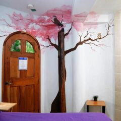 Отель Hostel Cancun Natura Мексика, Канкун - отзывы, цены и фото номеров - забронировать отель Hostel Cancun Natura онлайн комната для гостей фото 4