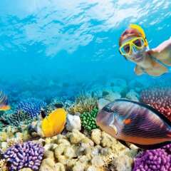 Отель Oasis Cancun Lite бассейн фото 2