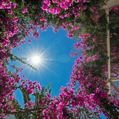 Отель Atlantis Beach Villa Греция, Остров Санторини - отзывы, цены и фото номеров - забронировать отель Atlantis Beach Villa онлайн фото 3