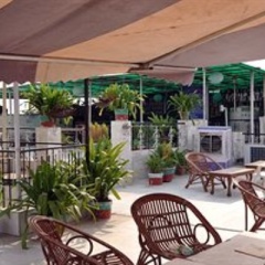 Отель Anoop Hotel Индия, Нью-Дели - отзывы, цены и фото номеров - забронировать отель Anoop Hotel онлайн фото 13