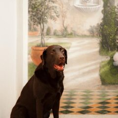 Отель Albergo delle Drapperie Италия, Болонья - отзывы, цены и фото номеров - забронировать отель Albergo delle Drapperie онлайн с домашними животными