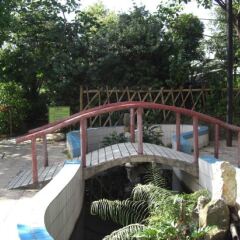 Fogang Wangchao Spa Hotel бассейн