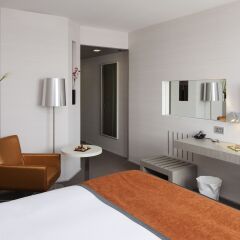 Отель Pullman Toulouse Centre Франция, Тулуза - отзывы, цены и фото номеров - забронировать отель Pullman Toulouse Centre онлайн комната для гостей фото 4