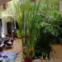 Отель Riad Ta'Achchaqa Марракеш фото 3