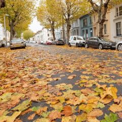 Отель Clyde Road - Brighton - Guest Homes Брайтон помещение для мероприятий