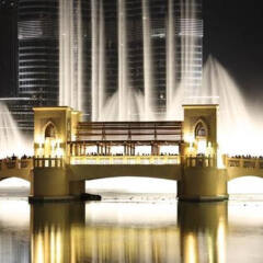Отель The Ritz-Carlton Residences, Dubai International Financial Centre Дубай приотельная территория