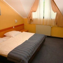 Hotel Bor in Preddvor, Slovenia from 156$, photos, reviews - zenhotels.com