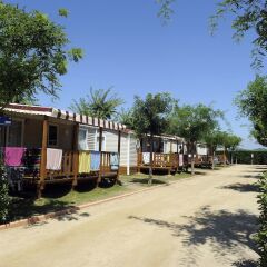 Отель Camping Del Mar Испания, Мальграт-де-Мар - отзывы, цены и фото номеров - забронировать отель Camping Del Mar онлайн фото 6