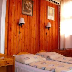 Отель Kis Gellert Guesthouse Венгрия, Будапешт - отзывы, цены и фото номеров - забронировать отель Kis Gellert Guesthouse онлайн фото 7