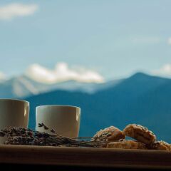 Отель Pirina Club Family Hotel Болгария, Банско - отзывы, цены и фото номеров - забронировать отель Pirina Club Family Hotel онлайн приотельная территория