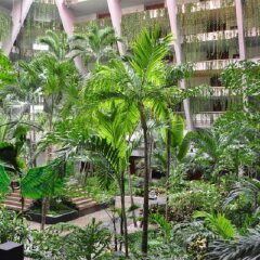 Отель Grand Oasis Cancun - Все включено Мексика, Канкун - 8 отзывов об отеле, цены и фото номеров - забронировать отель Grand Oasis Cancun - Все включено онлайн фото 5