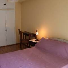 Апартаменты Spacious apartment in central Athens комната для гостей фото 4