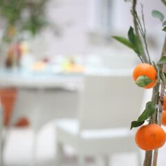 Luxor Garden Hotel Турция, Измит - отзывы, цены и фото номеров - забронировать отель Luxor Garden Hotel онлайн бассейн фото 2
