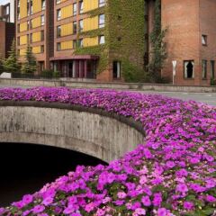 Отель Scandic Stavanger Park Ставангер