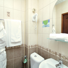 Гостиница Амстердам 3* Номер Комфорт с разными типами кроватей фото 4