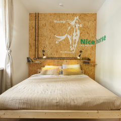 Nice Hostel Павелецкая Номер с общей ванной комнатой с различными типами кроватей (общая ванная комната) фото 3