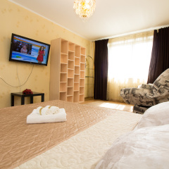 Гостиница Na Mitinskoy 40/1 Apartment в Москве отзывы, цены и фото номеров - забронировать гостиницу Na Mitinskoy 40/1 Apartment онлайн Москва комната для гостей фото 3