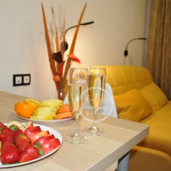 Гостиница ENJOY! Apartments & Studios - Nekrasova в Балашихе отзывы, цены и фото номеров - забронировать гостиницу ENJOY! Apartments & Studios - Nekrasova онлайн Балашиха фото 2